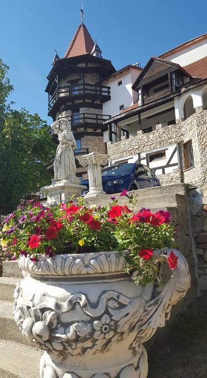 Castelul Lupilor Hotel Chimindia Exterior foto